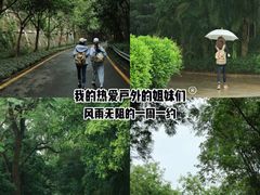 -小南山公园
