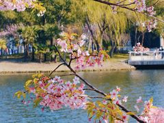 -新江湾城公园