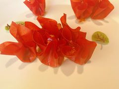 山楂鹅肝-柿合缘新京菜(国金中心商场店)