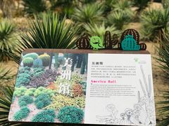 -深圳仙湖植物园