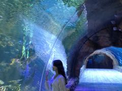 -华夏文旅海洋公园