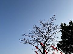 -露天矿生态公园