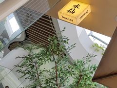 -BeauTea水仙(coco park店)