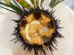 -日月昇渔家菜·海肠捞饭·大连海鲜(星海公园店)
