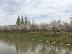-上海海湾国家森林公园