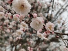 -北京鹫峰国家森林公园