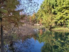 -贡湖湾湿地公园