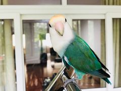 -雨林宠物医院 非犬猫异宠专科