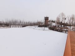 -东郊湿地公园