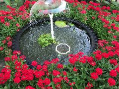 -长春公园(普阳街道)