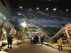 -自贡恐龙博物馆