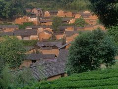 -杨家堂村