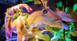 -恐龙探索乐园(磁器口店)