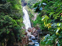 -龙湾潭国家森林公园