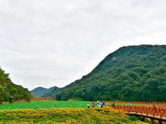 -广州市石门国家森林公园