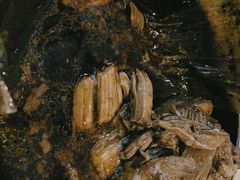 -外婆船宴餐厅·外婆喊你回家吃饭