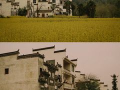 -婺源风景区
