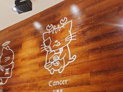 -猫爪爪原切自助烤肉(观音桥阳光世纪店)