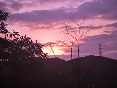 -阳台山森林公园