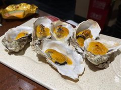 -黑松白鹿(崇文门新活馆店)