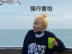 -海驴岛(荣成市)