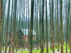 -山王坪喀斯特国家生态公园