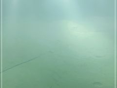 -白鹤梁水下博物馆