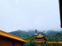 -深圳仙湖植物园