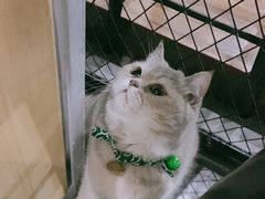 -绿雅居原生态农庄(小涌店)