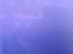 -八仔大富楼·河鲜(西江店)