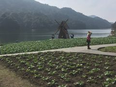 -广州市石门国家森林公园