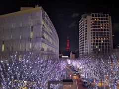 -六本木新城展望台(东京城市景观)