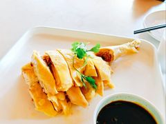 林地散养白切鸡-壹只菜·崇明本地特色菜(崇明南门店)