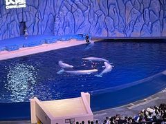 -珠海长隆海洋王国