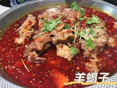 -小龙跃.羊蝎子火锅(凤凰北街店)