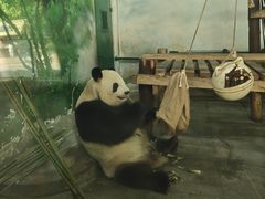 -无锡动物园·太湖欢乐园