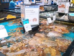 水产区-盒马鲜生(皇庭广场店)