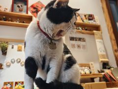 -创艺无限·赵春香微妙艺术馆