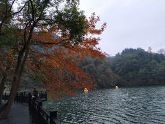 -江西阳明山国家森林公园