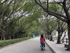 -大湾区中央湿地公园