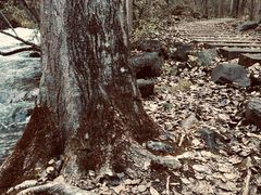 -叠溪松坪沟景区