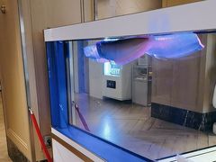 -白玉兰酒店(上海田子坊马当路地铁站店)