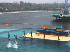 -秦皇岛乐岛海洋王国