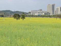 -光明小镇欢乐田园