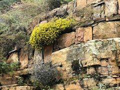 -黄崖洞文化旅游区