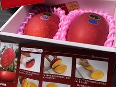 -广州四季酒店
