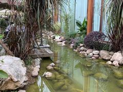 -夜不收荤豆花(大邑总店)