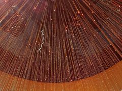 -赵小姐丨新中餐(曲江店)