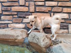 -御林汤泉
