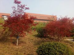 -西北农林科技大学(北校区)